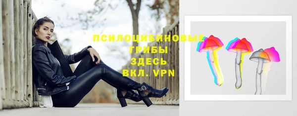 spice Лиски