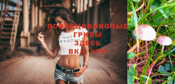 spice Лиски