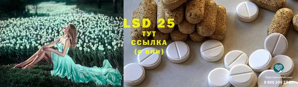 стафф Липки