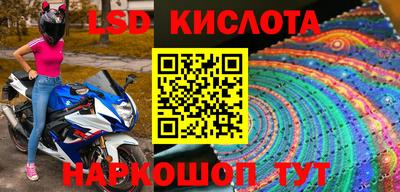 apvp Краснодар