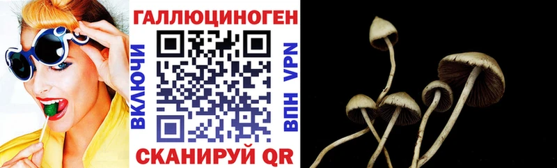 Псилоцибиновые грибы Magic Shrooms  Строитель 
