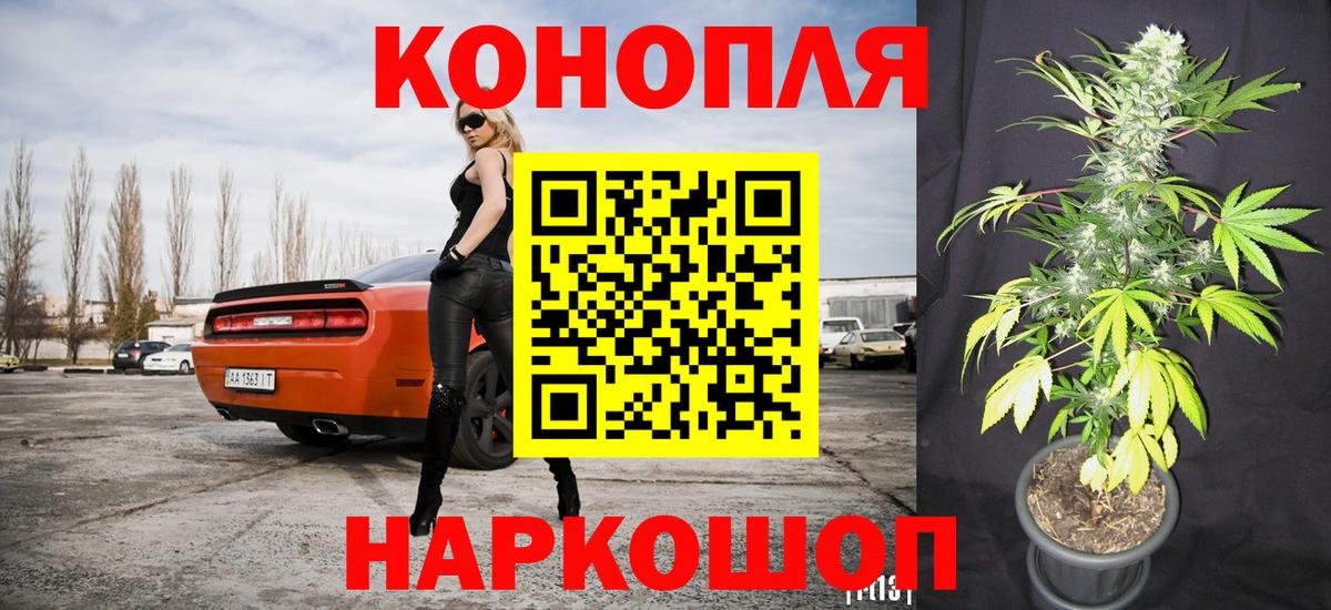 Каннабис OG Kush Строитель